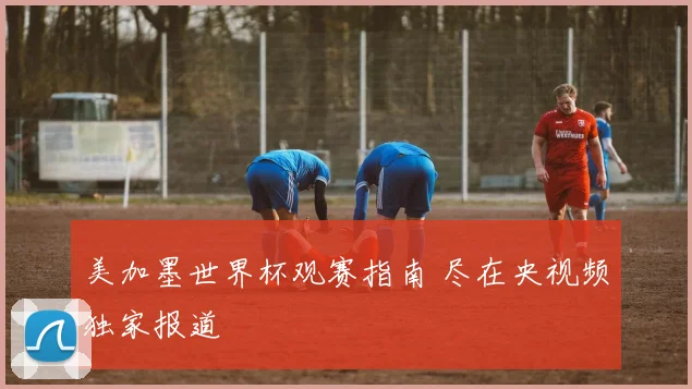 美加墨世界杯观赛指南 尽在央视频独家报道