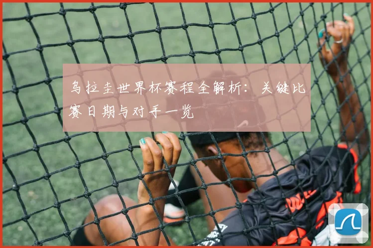 乌拉圭世界杯赛程全解析：关键比赛日期与对手一览